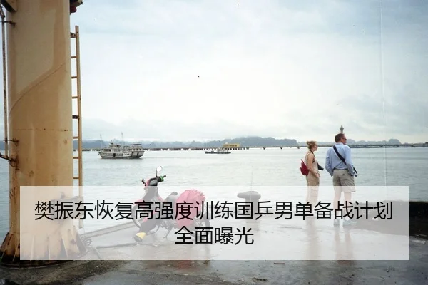 樊振东恢复高强度训练国乒男单备战计划全面曝光