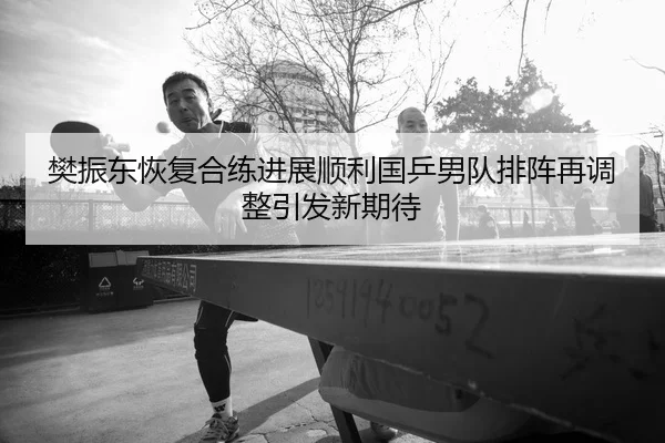 樊振东恢复合练进展顺利国乒男队排阵再调整引发新期待